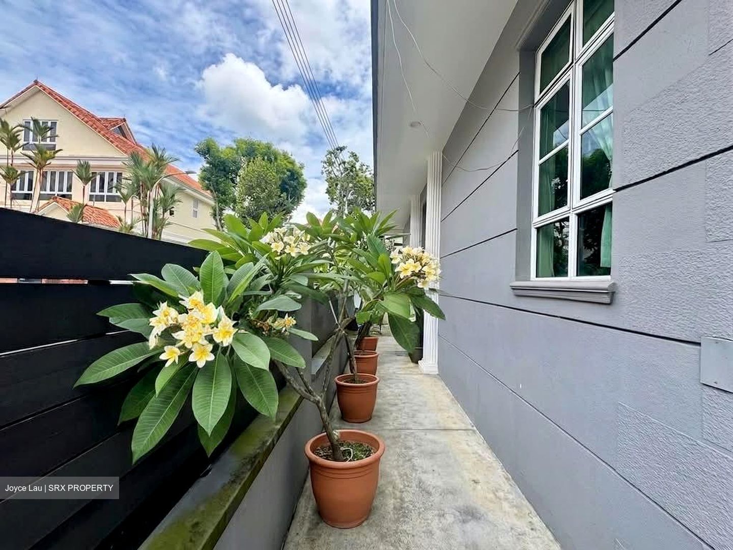 Eden Park (D10), Semi-Detached #559663671